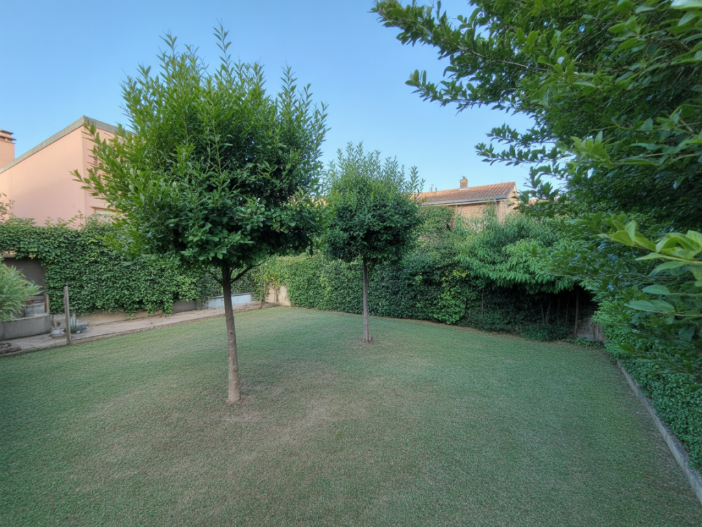 Les règles de distances de plantation prévues par le Code civil