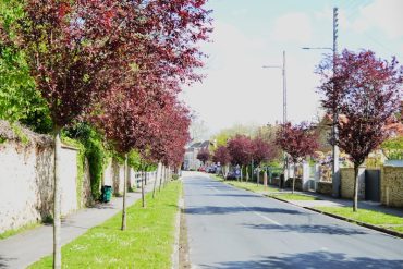 Résiliation d’assurance : tout comprendre avec la loi Hamon