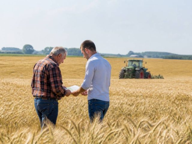 Bail terre agricole : règles, durée et conditions à connaître