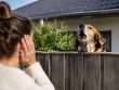 Aboiement du chien du voisin : quels recours juridiques ?